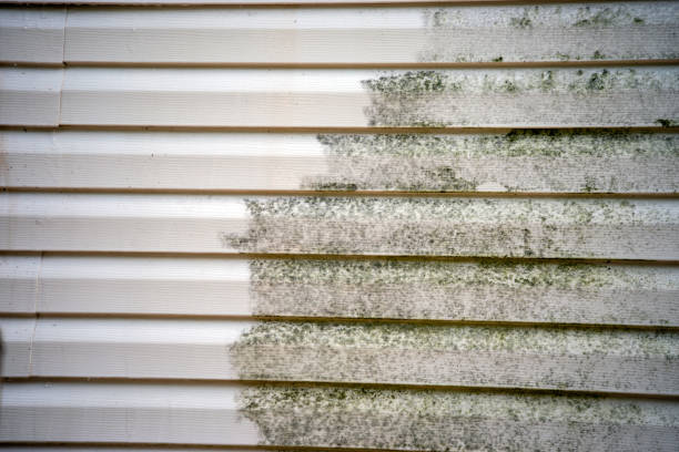 Best Brick Veneer Siding  in , MS