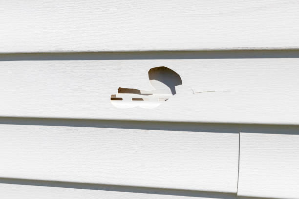  , MS Siding Installation Pros