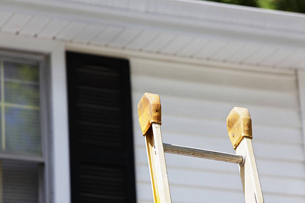 Best Residential Vinyl Siding Installation  in , MS