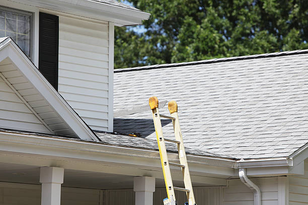 Best Residential Vinyl Siding Installation  in , MS