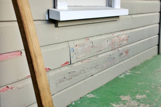 Best Engineered Wood Siding  in , MS